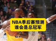 爱游戏app安装-NBA季后赛排名出炉，谁将问鼎总冠军？的简单介绍