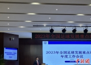 爱游戏体育app-关于国内足球联赛战略性变化详细解读的信息