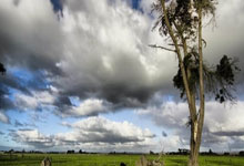 阿森纳兵败：狼队靠近争四行列