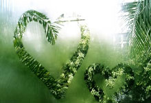 阿森纳兵败：狼队靠近争四行列