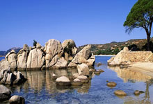 阿森纳兵败：狼队靠近争四行列