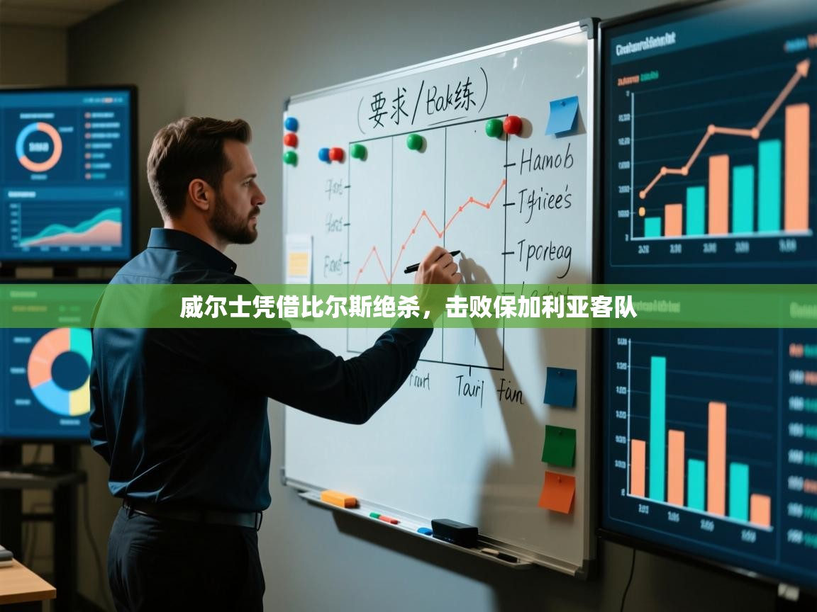 威尔士凭借比尔斯绝杀,击败保加利亚客队 第2张