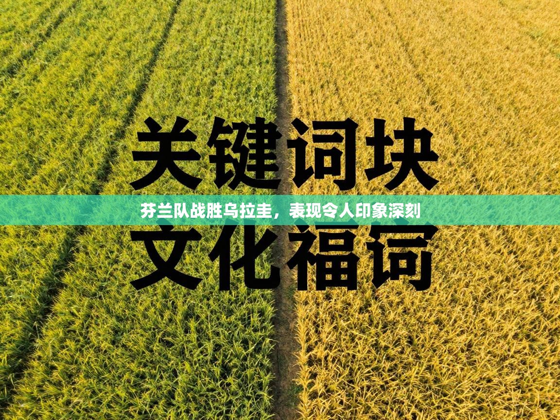 芬兰队战胜乌拉圭，表现令人印象深刻  第2张